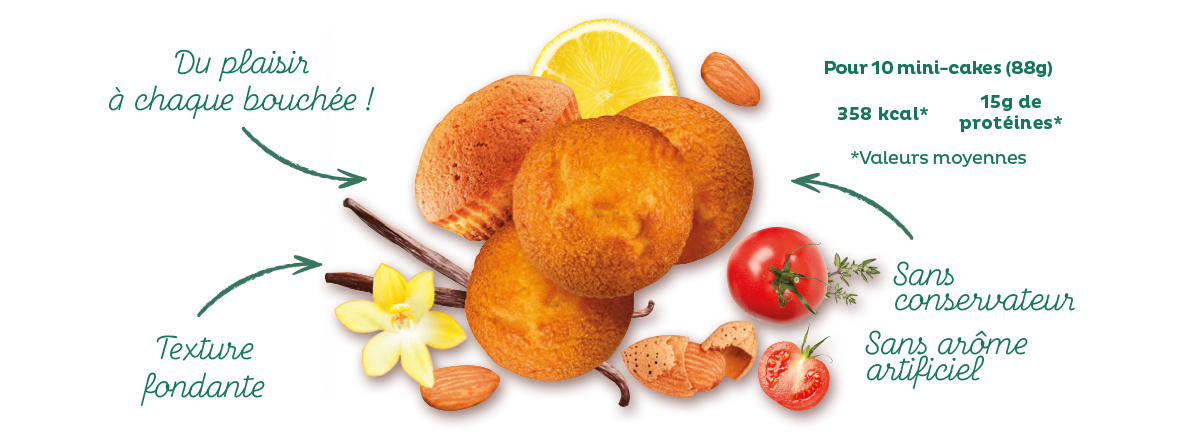 Mini-cakes-produits