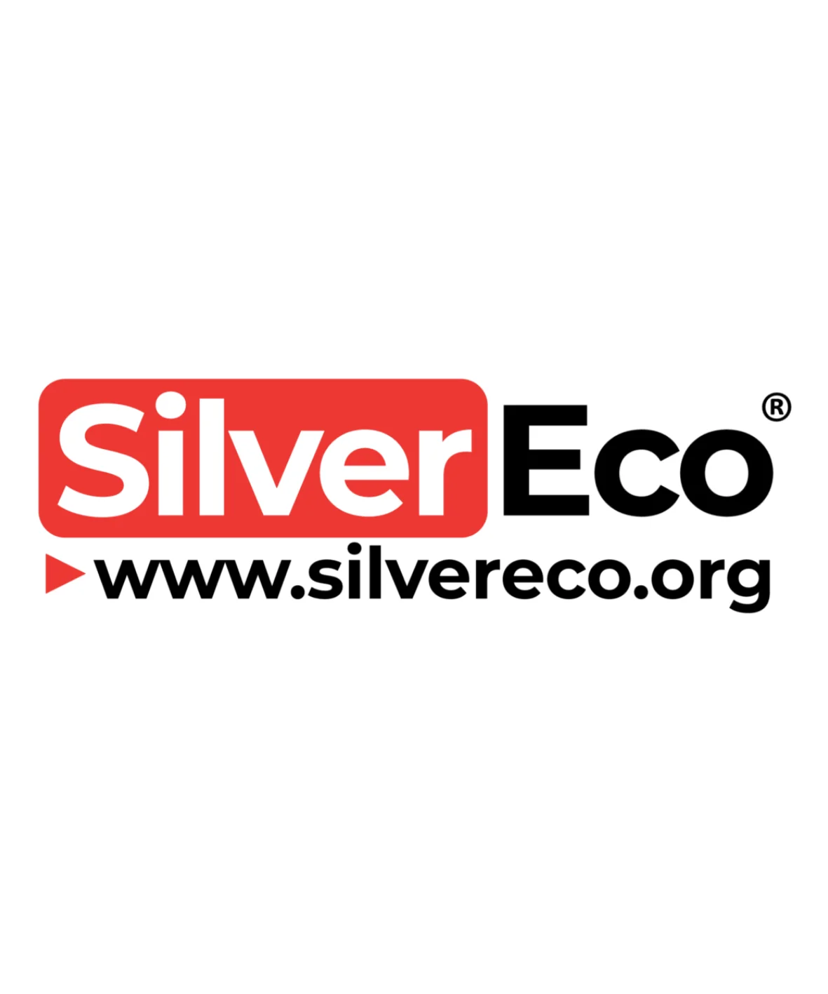 Logo Silver Eco